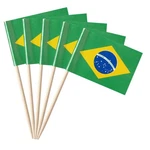 100 Pcs Argentina Flag Toothpick, Argentine, Small Mini Cupcake Toppers, Stick New. Price: $17.31.