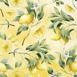 Boston International 3-PLY Party Paper Napkins Deluxe Disposable Picnic Lunch... New. Price: $14.30.