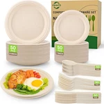 Fuyit DP0603 1 Disposable Dinnerware Set - 250 Pieces New. Price: $26.98.