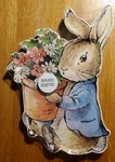Meri Beatrix Potter Peter Rabbit Flower 16PK Bunny Shaped Paper Plates New. Price: $9.97.