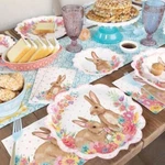 Pioneer Woman Easter Bunny Spring Party Supplies Tablecover Napkin Plates Pick New. Price: $7.99.