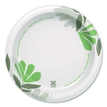 Dixie Pathways Paper Plates, Wisesize, 8.5" Dia, Green/burgundy, 125/PACK New. Price: $25.64.
