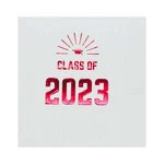 Paper Frenzy Graduation Party Napkins Class Of 2023 - 25 Pack New. Price: $9.99.