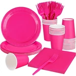 Party Supplies - Pink Disposable Decorations For 24: 9 Inch Plates... New. Price: $26.40.