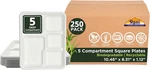 Rani 250 Biodegradable Divided Plates Eco-friendly, Heavy-duty & Premium Quali New. Price: $91.99.