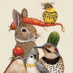 Paperproducts Design Ppd Harvest Party Beverage/cocktail Napkins New. Price: $10.95.
