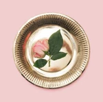 Disposable Eco-friendly Party Crafting Black Blue Pink Red Gold White 9" Plates New. Price: $12.99.