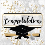 Iconikal 48-COUNT Graduation Party Napkins Disposable Paper Dinner Siz New. Price: $10.61.
