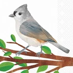 Boston Intl Cocktail Napkins 3-PLY Gray Titmouse 20 Count Disposable New. Price: $23.47.