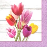 Creative Converting Napkin, Multicolor New. Price: $10.72.