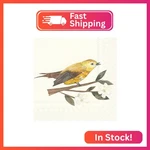 Ihr Ideal Home Range Party Napkins Disposable 3-PLY Paper Lunch Pack, 6.5 New. Price: $10.52.
