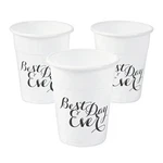 Fun Express Bulk 50 Ct. Best Day Ever Wedding Plastic Cups New. Price: $17.30.